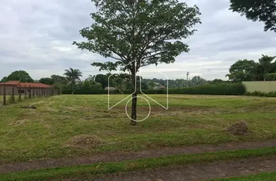Terreno à venda na Avenida João Spadoto, 30300, Sítios de Recreio Santa Rosa (Padre Nóbrega), Marília