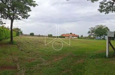 Terreno à venda na Avenida João Spadoto, 30291, Sítios de Recreio Santa Rosa (Padre Nóbrega), Marília