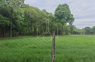 Terreno à venda na Avenida João Spadoto, 30302, Sítios de Recreio Santa Rosa (Padre Nóbrega), Marília