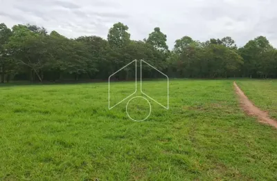 Terreno à venda na Avenida João Spadoto, 30293, Sítios de Recreio Santa Rosa (Padre Nóbrega), Marília