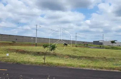 Terreno à venda na Avenida Doutor José Guimarães, 86, Jardim América, Marília
