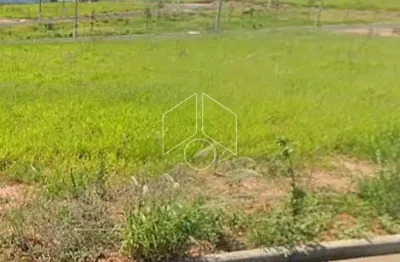 Terreno à venda na Rua Nelson Da Silveira Teixeira, 81, Parque das Flores, Marília