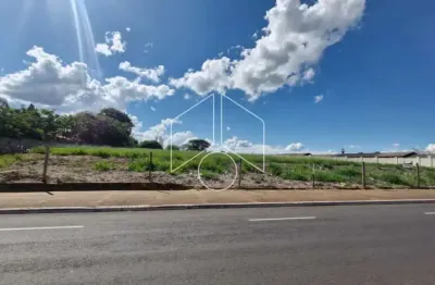 Terreno comercial à venda na Rua Benedito Alves Delfino, 53, Distrito Industrial, Marília
