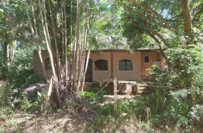 Linda chacara com duas casas varias frutiferas otima opcao pra quem deseja morar na zona rural.