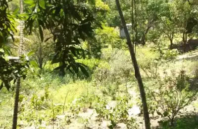 Propriedade perfeita para criação de bovinos  com espaço para plantio são 43,800 metros quadrados totalmente legalizado em meio a natureza.