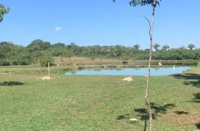 Chácara / sítio com 3 quartos à venda na Avenida Antônio de Pádua, 100, Pascoal Ramos, Cuiabá
