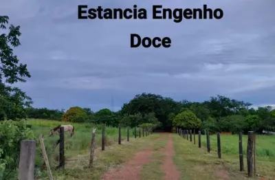 Fazenda com 2 salas à venda na Rua Marechal Deodoro, km 20, Zona Rural, Rosário Oeste