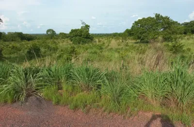 Fazenda com 1 sala à venda na Rod. Mt 010 Km 77 Chapéu Do Sol, km 77, Zona Rural, Acorizal