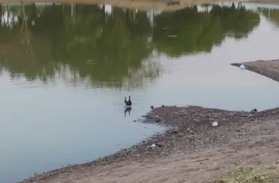 Chácara / sítio com 1 quarto à venda na Zona  Rural  Estrada Do Coxipó Do Ouro, km11, Coxipó do Ouro, Cuiabá