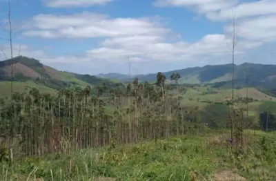 Terreno à venda no Centro, Monteiro Lobato 