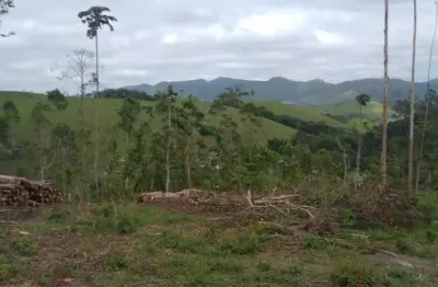 Terreno à venda no Centro, Monteiro Lobato 