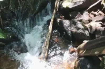 Terreno à venda no Centro, Monteiro Lobato 