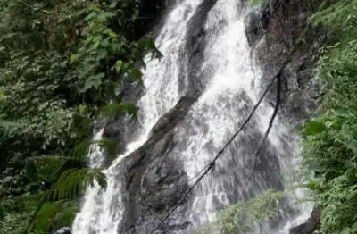 Fazenda à venda em São Francisco Xavier, São José dos Campos 