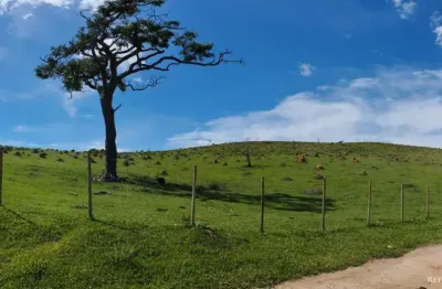 Fazenda à venda no Centro, Igaratá 