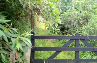 Terreno com nascentes e minas, área de preservação permanente e ótimo acesso