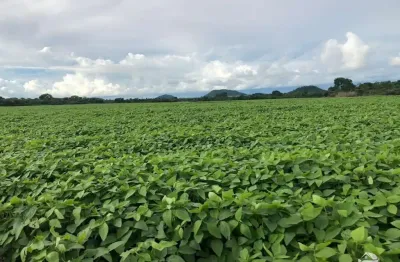 Fazenda à venda no Centro, Santa Terezinha 
