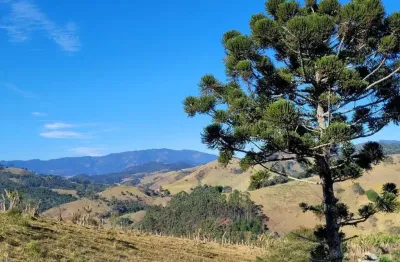 Terrenos ideais para pousada ou chalés em santo antônio do pinhal/sp