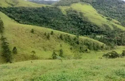 Terreno em são francisco xavier com linda vista, nascentes e cachoeira