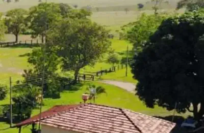 Fazenda à venda no Centro, Chapadão do Sul 