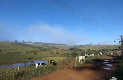 Fazenda à venda no Centro, São Lourenço 