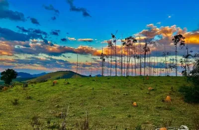 Fazenda à venda em São Francisco Xavier, São José dos Campos 