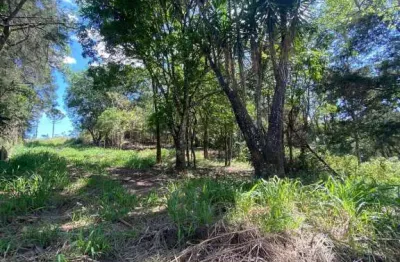 Sítio com nascente em meio a uma linda paisagem em igaratá