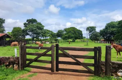 Fazenda à venda no Setor Central, Figueirópolis 