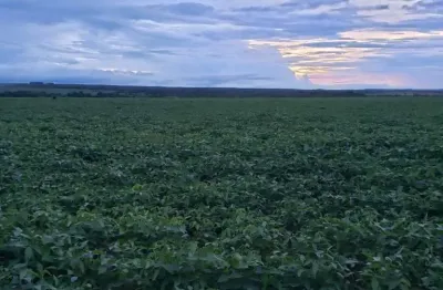 Fazenda à venda no Centro, Rosário Oeste 