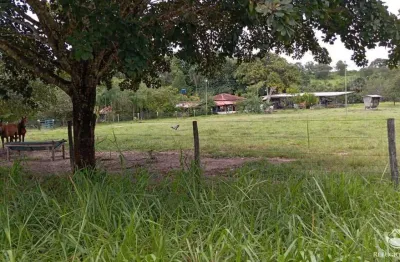 Fazenda à venda no Setor Central, Nova América 