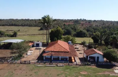 Fazenda imperdível com ótima estrutura em aparecida do taboado/ms