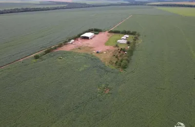 Fazenda à venda no Centro, Primavera do Leste 