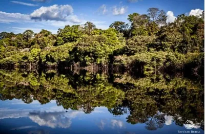 Fazenda à venda no Centro, Manicoré 