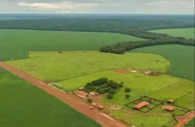 Fazenda à venda no Centro, Tabaporã 