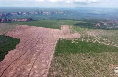 Fazenda à venda no Centro, Palmeira do Piauí 