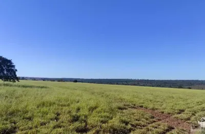 Fazenda à venda no Centro, Chapadão do Sul 