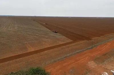 Fazenda à venda no Centro, Campo Novo do Parecis 