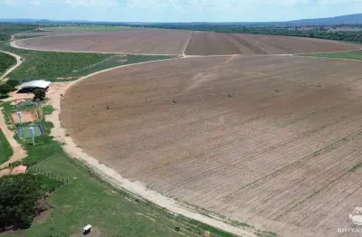Fazenda à venda no Centro, João Pinheiro 
