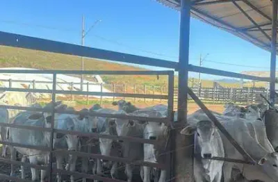 Fazenda à venda na Área Rural de São José dos Campos, São José dos Campos 