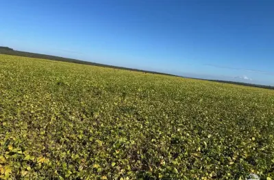 Fazenda à venda no Centro, João Pinheiro 