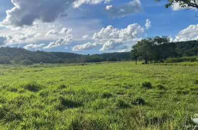 Fazenda à venda no Centro, Gurinhatã 