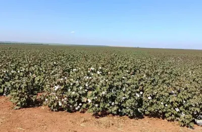 Fazenda à venda no Centro, Jaciara 