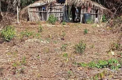 Fazenda à venda no Centro, Tesouro 