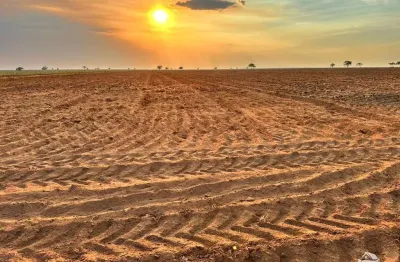 Fazenda à venda no Sitio Grande, São Desidério 