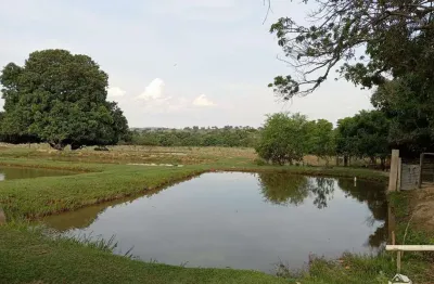 Fazenda à venda no Centro, Tesouro 