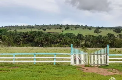Fazenda à venda no Centro, Minaçu 