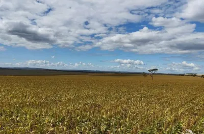 Fazenda à venda no Centro, Água Fria de Goiás 