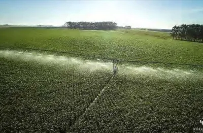 Fazenda à venda no Centro, Jaguarão 