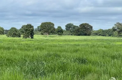 Fazenda à venda no Centro, Cocalinho 
