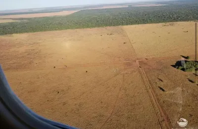 Fazenda à venda no Centro, Canarana 
