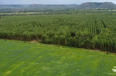Fazenda à venda no Setor Central, Goiatins 